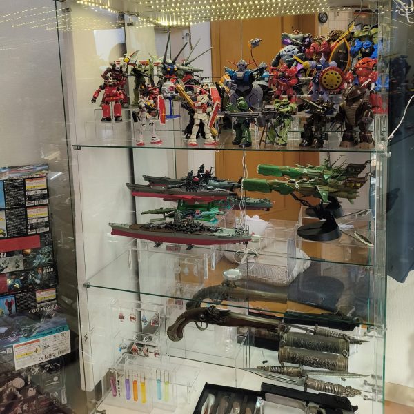 17ヶ月こつこつプラ山から