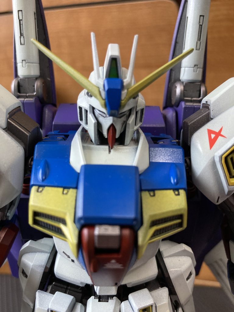 リ・ガズィカスタム  完成です