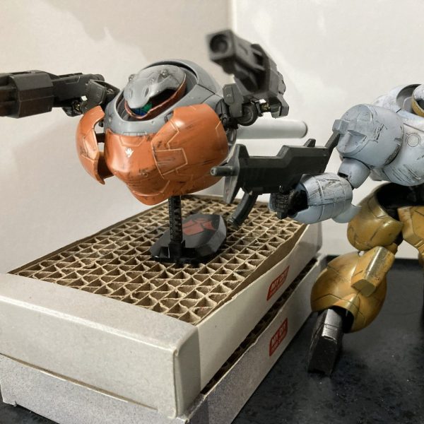 タドポール・ロディ