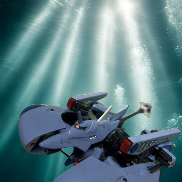 仄暗い海の底から