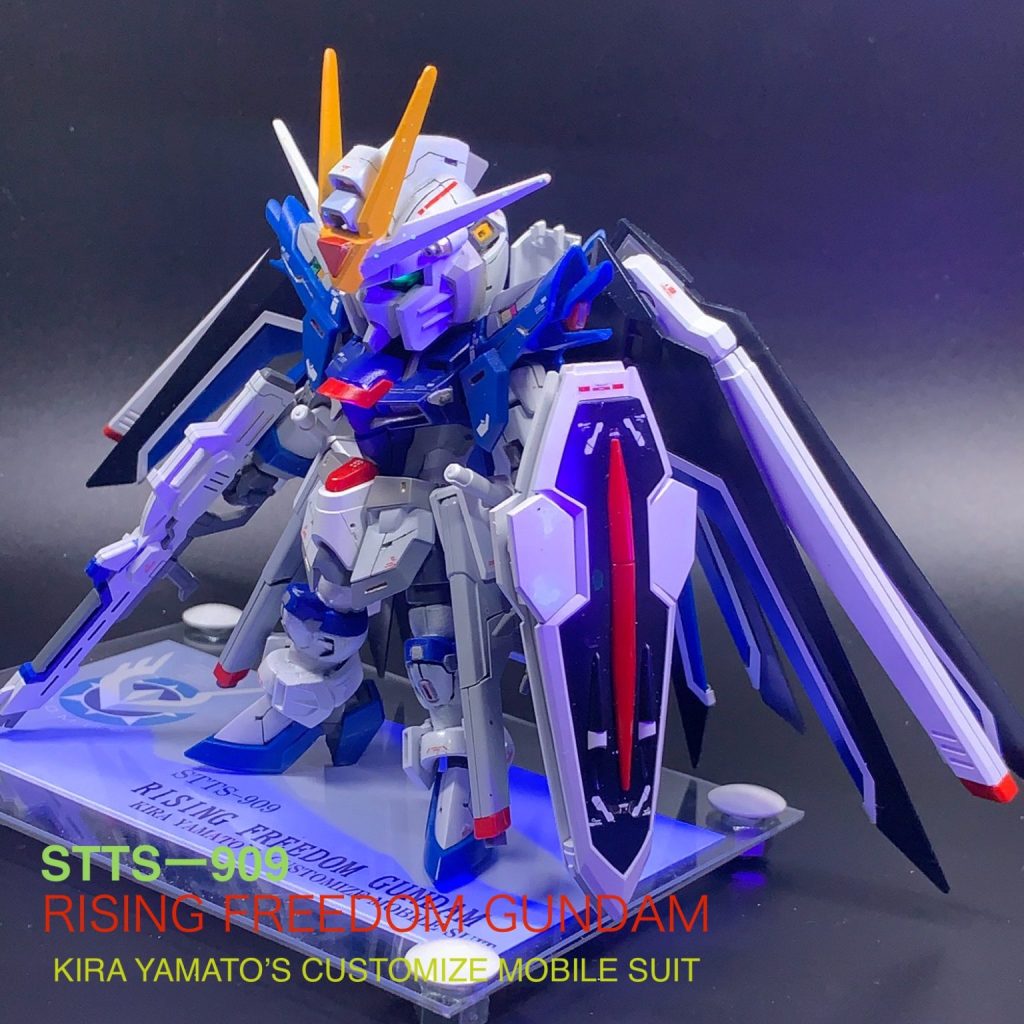 志村様制作依頼用 MGSDフリーダムガンダム ライジングフリーダム