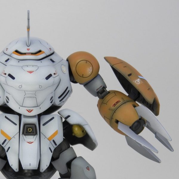 種ズゴの次はまたズゴックタイプ…!!!