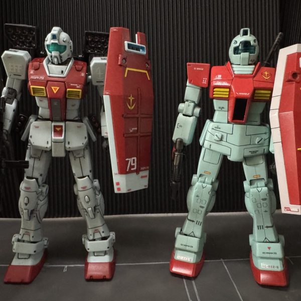 エコプラ&MSD ジム