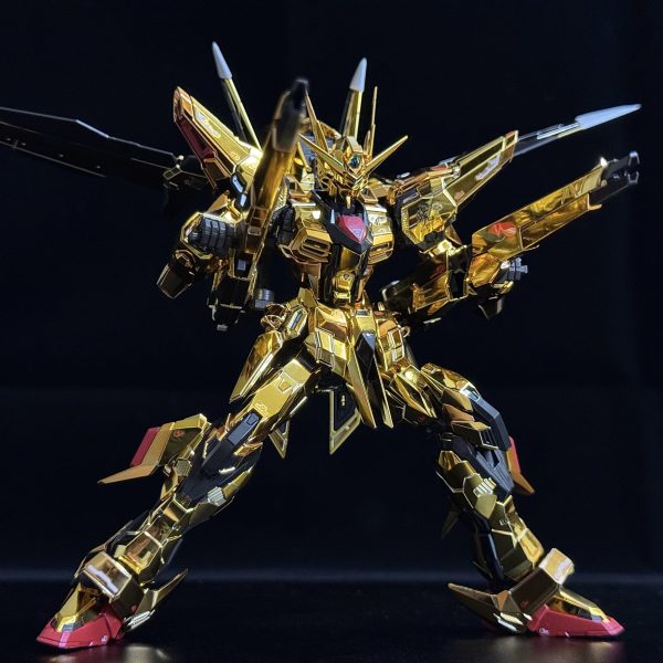 RG アカツキガンダム(オオワシ装備)