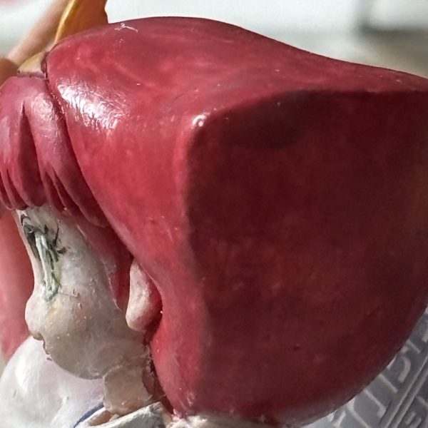 ガンキャラ　ハマーン 様