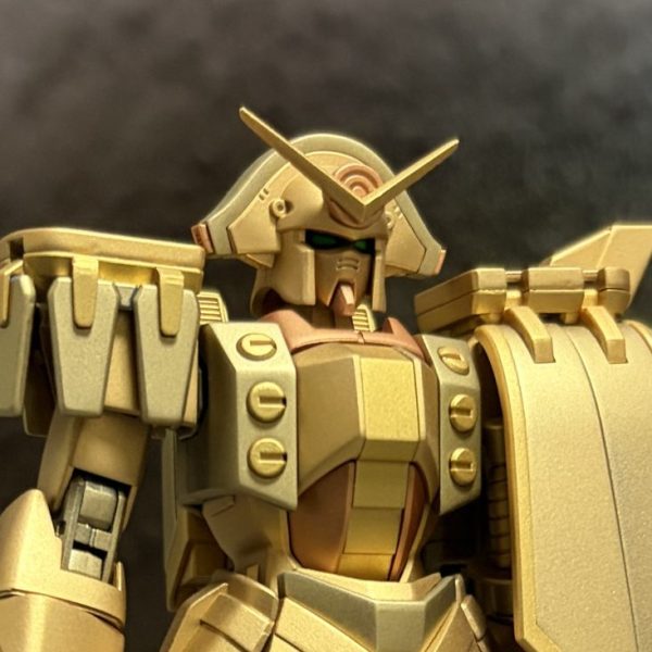 HGFC ガンダムローズ