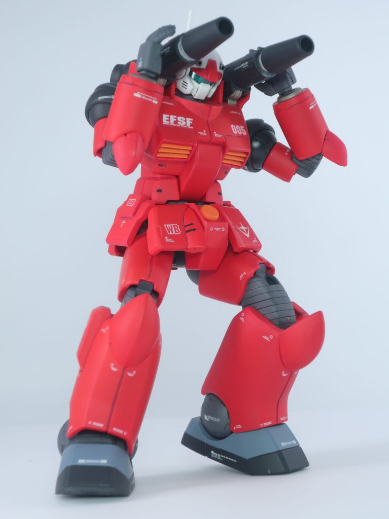 ちょっとポーズをとりましたが・・・