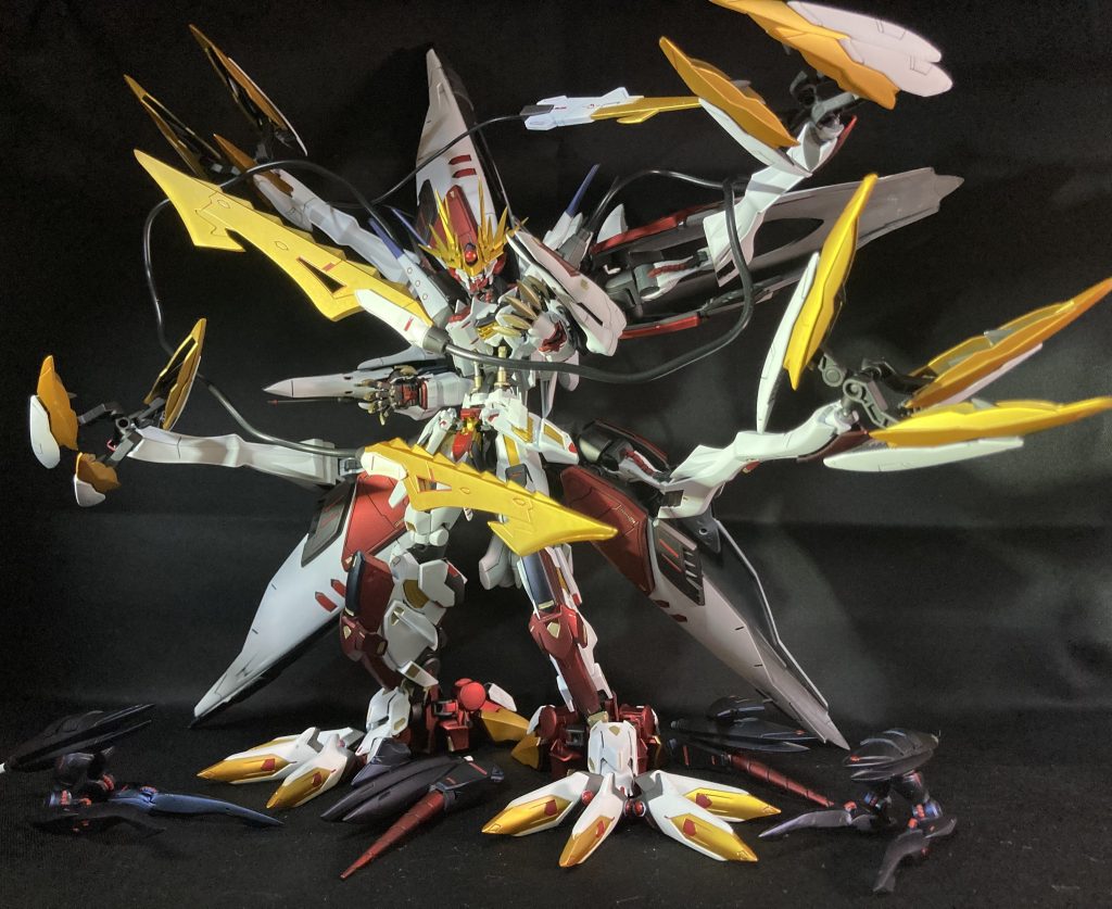 背中のハシュマルは胴体がだいたいそのまま腰後ろと、背中に一つずつついてます見ていただけて伝わるかは怪しいですが、した羽の支えもありスタンドなしでちゃんと自立します笑ハシュマルアームは足先が固定軸だったものをボールジョイントに変更して手首…で表現合ってるのか？？足首？がかなり自由に動かすことができるようにしてありますテイルブレードは3本、肩から2本、腰裏のハシュマル基部にレクスのテイルブレードユニットをくっつけてあり、ちゃんと尻尾もあります笑