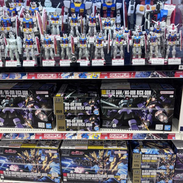 HGUCドムが棚に並ぶ時代に戻りました😆
