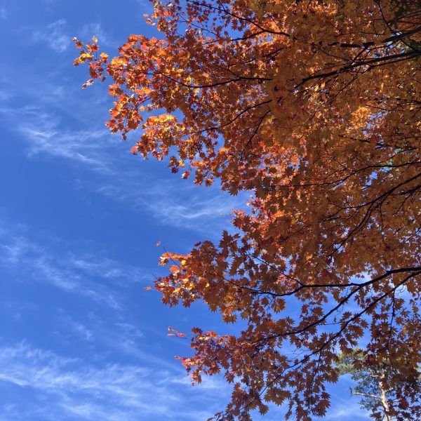 昨日、パチ組みを終わりましたグレイズ2日目は切って貼ってをしました٩( ᐛ )و今回、プラ棒しか入れてなかったのでランナーとタグを利用してAKさんばりに(比較にもなりませんが(￣▽￣;)工作をしてみました 今回は温泉地でしたがソロ活ガンプラを旅先でやるのは楽しいですよ皆さまもお試しあれ╰(*´︶`*)╯（3枚目）