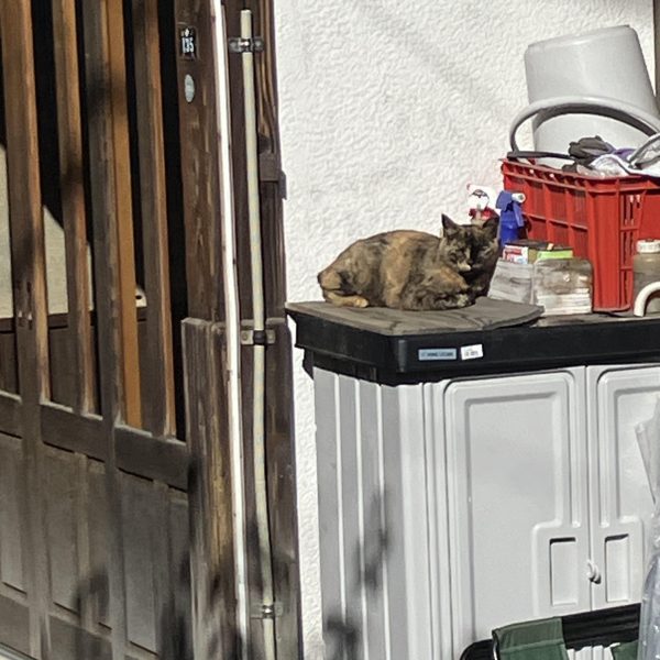 昨日、パチ組みを終わりましたグレイズ2日目は切って貼ってをしました٩( ᐛ )و今回、プラ棒しか入れてなかったのでランナーとタグを利用してAKさんばりに(比較にもなりませんが(￣▽￣;)工作をしてみました 今回は温泉地でしたがソロ活ガンプラを旅先でやるのは楽しいですよ皆さまもお試しあれ╰(*´︶`*)╯（4枚目）