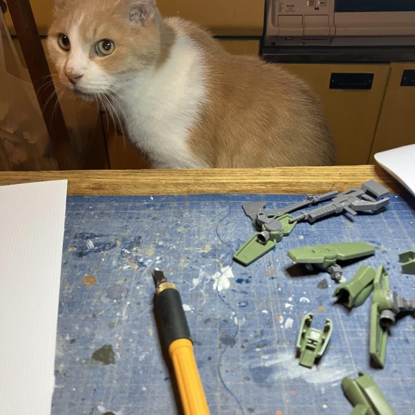 何とか、ここまで辿り着きました＿|￣|○ ハアハア💦やればやる程に貼ってない所が寂しく見えてくる(￣▽￣;)劇場公開と10周年記念に合わせたかったけど、今月中は厳しいかな……（5枚目）