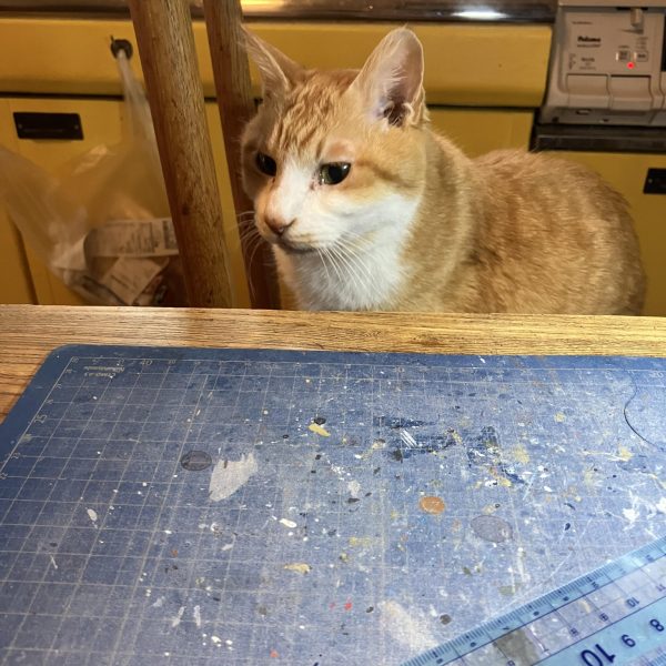 プラ材を見続け彷徨う〜🎶グレイズ、プラ材貼り完了ー╰(*´︶`*)╯新しく買ったタミヤのピンセットは使いやすかった☺️高いほどピンセットは良いと言うのはホントでした(￣▽￣;)明日から塗装に入ります🖌️考えている方法が上手くハマるといいのだけれども💦 紅白ガンプラ合戦はゲルググで参戦かな🤔あとはリペイントして過去作出そうかと思案中ちなみに自分は紅組予定(人数分担で変わる可能性があるみたい)（5枚目）