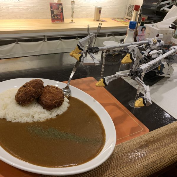 そこそこのカレーライス。納品ガンプラ_2025/6-11