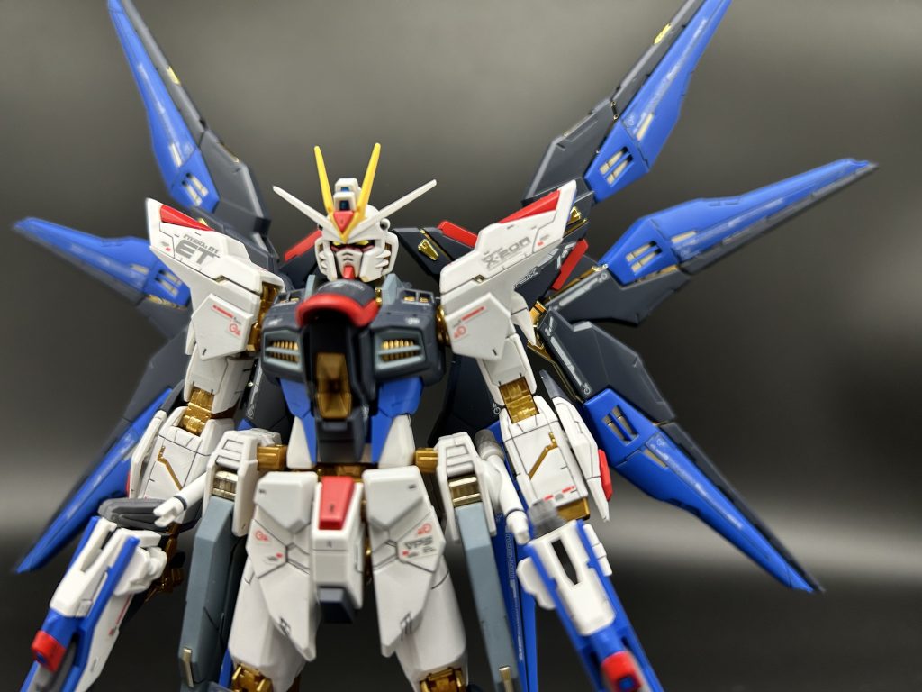 RGストライクフリーダムガンダム