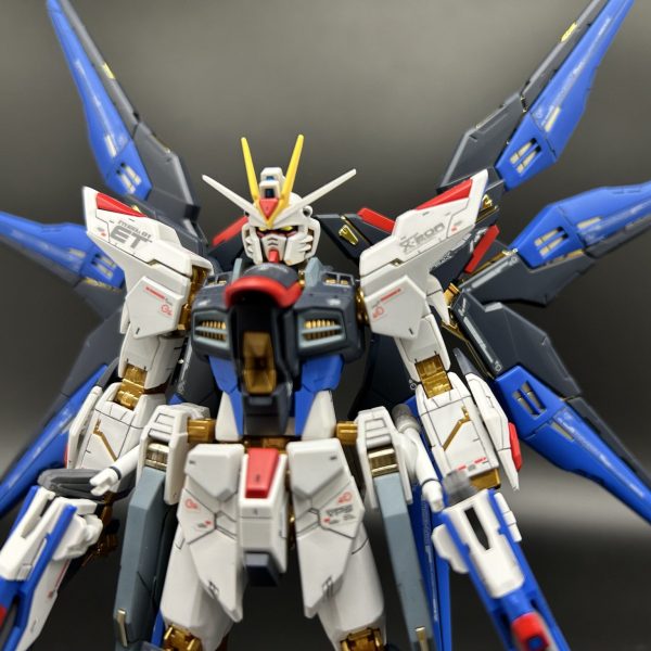 RGストライクフリーダムガンダム