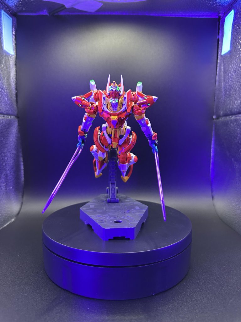 実は左足関節がグラグラでポージングきつかったですw