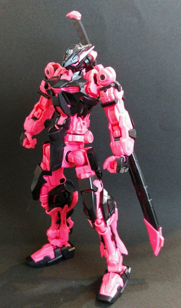 ｢ビジターアストレイ｣