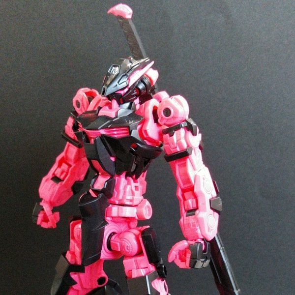 ｢ビジターアストレイ｣