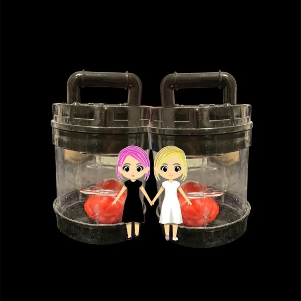 G-X2！？撃墜したはずじゃあ💦・・・・体は失えど脳はある。バイオ脳がな💢貴様と私。どちらのミノフスキードライブが優れてるか教えてやろう・・・・・・・ハロウィンは終わらない（2枚目）