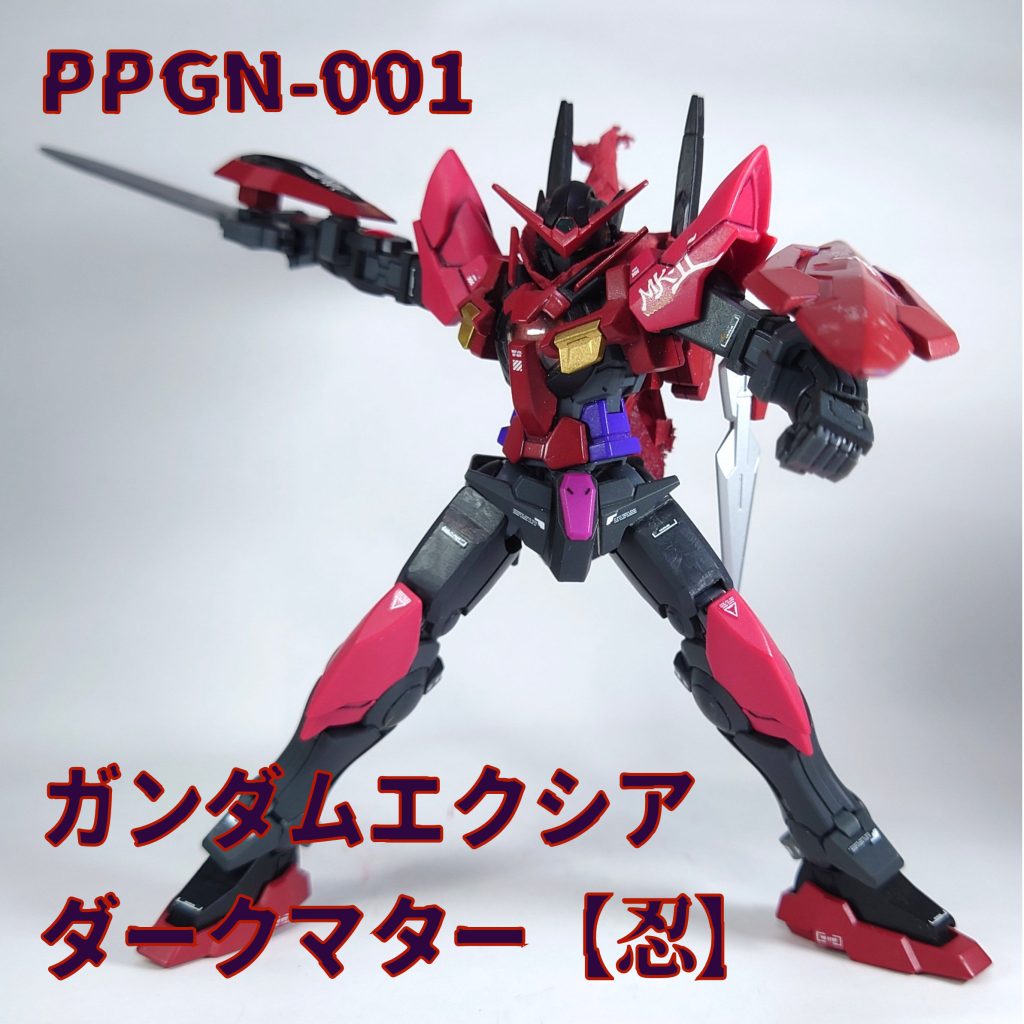 ガンダムエクシアダークマター【忍】