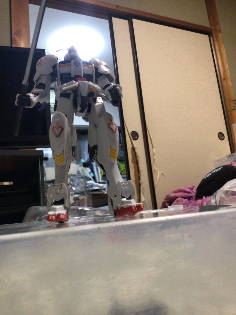 下から撮ってみた