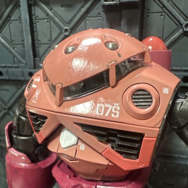 RG シャア専用ズゴック