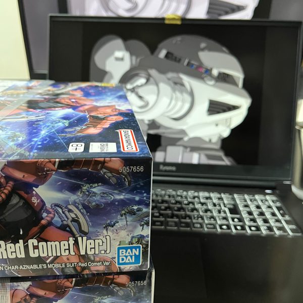 ●今日の巡回(二回目)