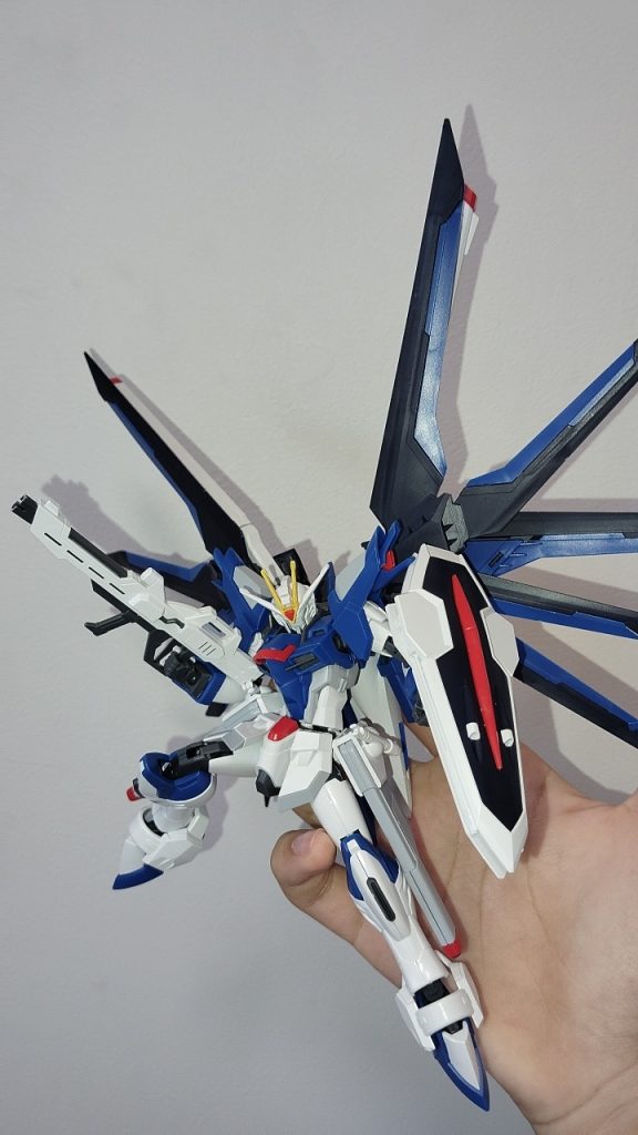 次にライフリ。家族に買ってもらいました。箱絵と同じポーズしたけど何か…違う。