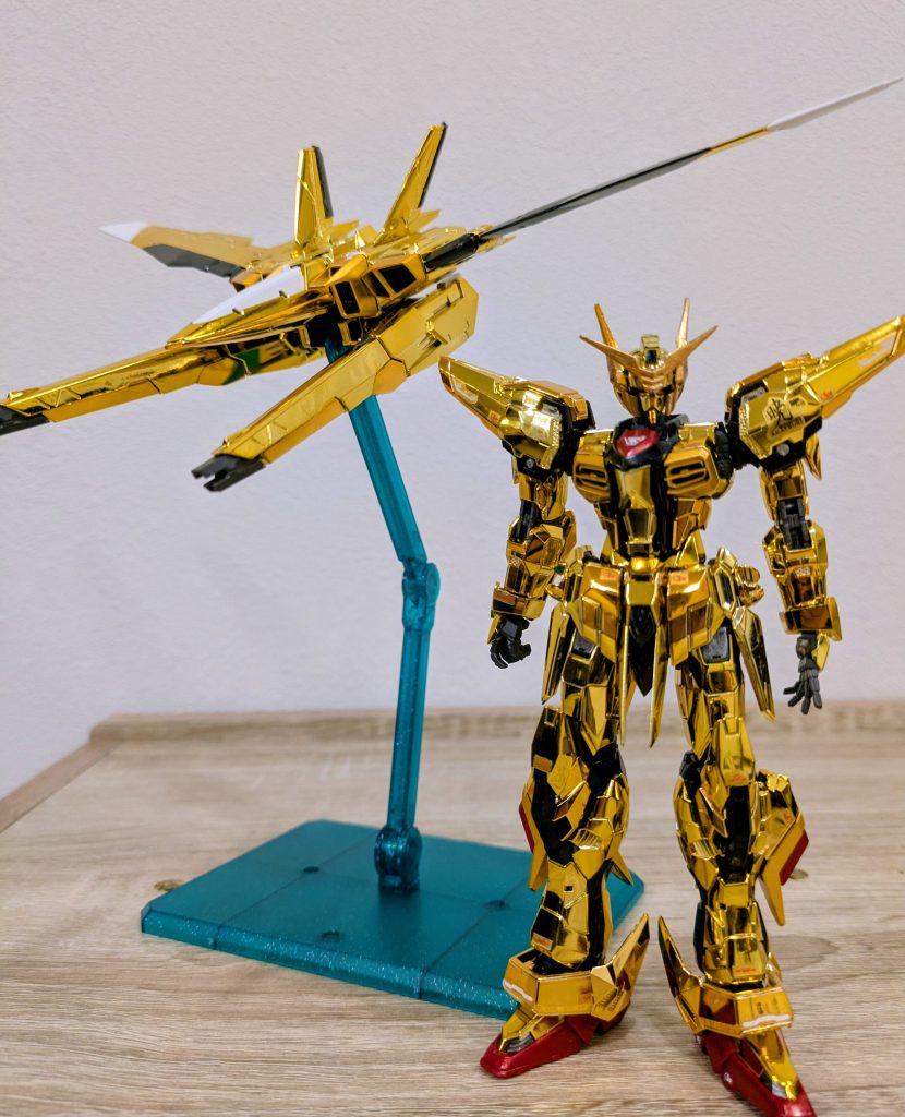 オオワシとアカツキのツーショット