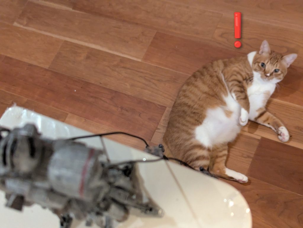 有線メガ粒子砲のプラプラに早くも反応しているネコ氏。やめようね、、、皆さん、今年は有り難うございました✨いい影響ばかり頂いて、色々と挑戦できた最良の年でした😿これからも倦まず弛まずやっていけたらと思いますヽ(´エ`)ノ✨