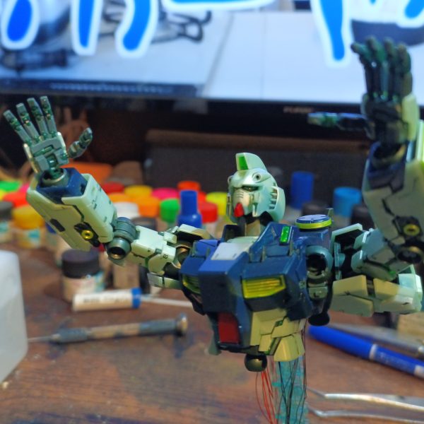 決して諦めてバンザイした訳ではありません‼️🤣😅💦💦‼️アクシズの岩肌が見えるでしょ⁉️😅💦💦（2枚目）