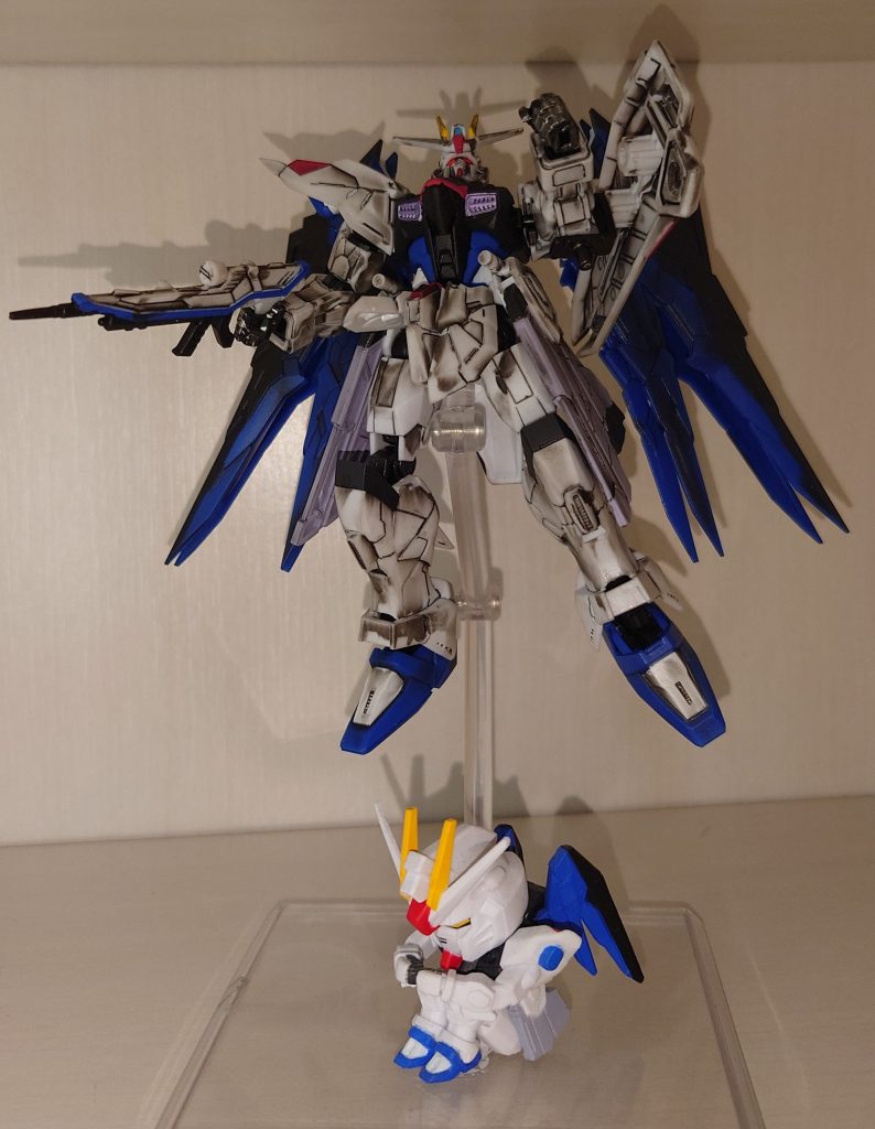 待ちぼうけのフリーダムと撮影