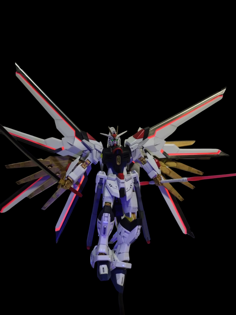 定番のポーズにチャレンジしてます。