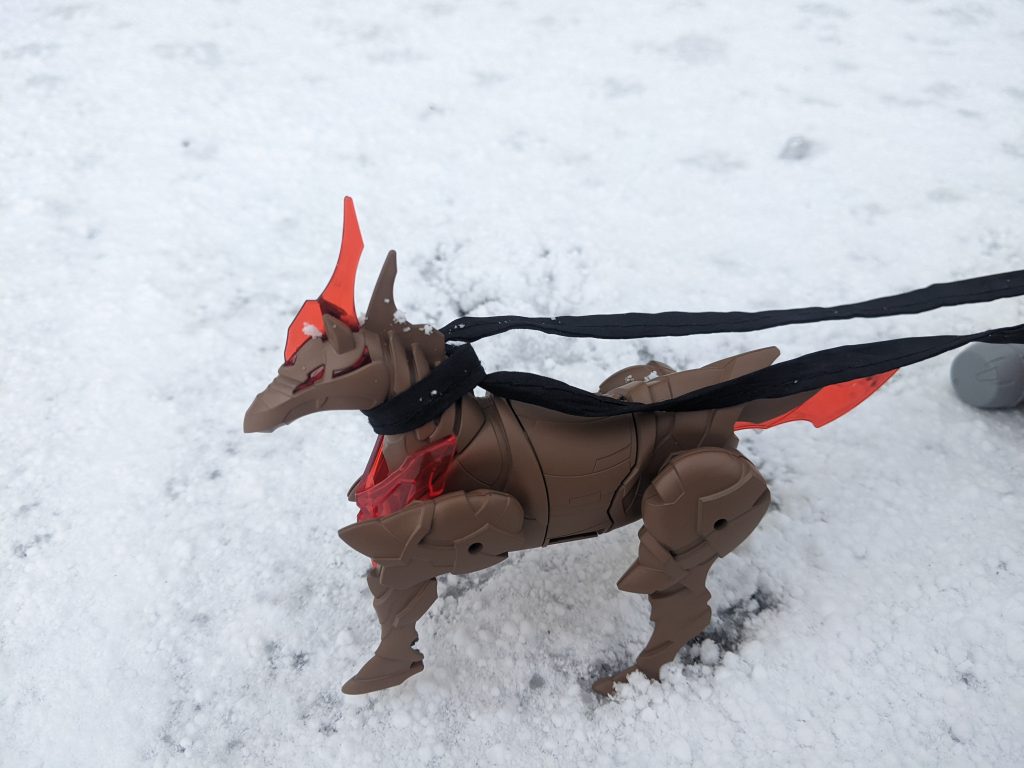 トナカイもいます