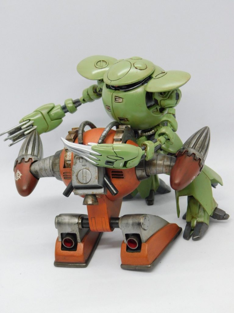 宿敵カプルとの死闘ッ❗️😼戦わなければ生き残れないッ‼️