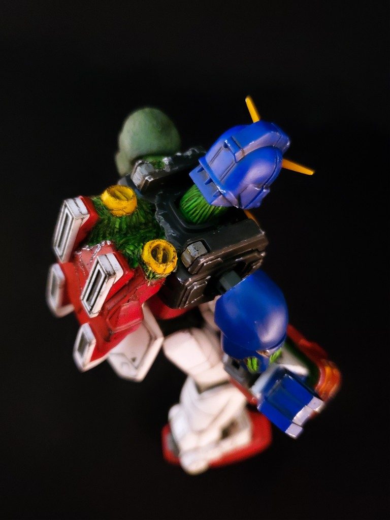 首やコアランダーにもDG細胞。