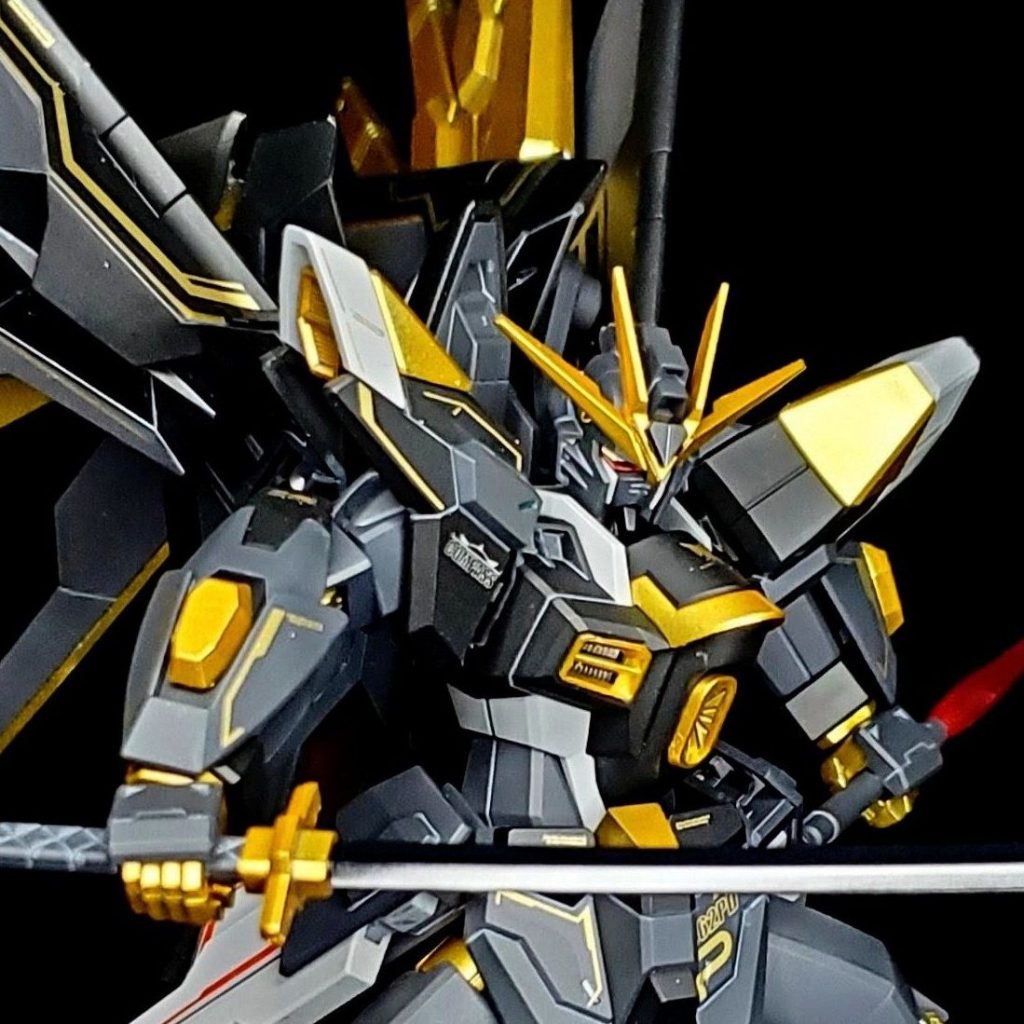 マイティーストライクフリーダムVer.闇｜ラリハルさんのガンプラ作品