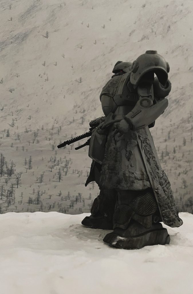 左側からのショットです。