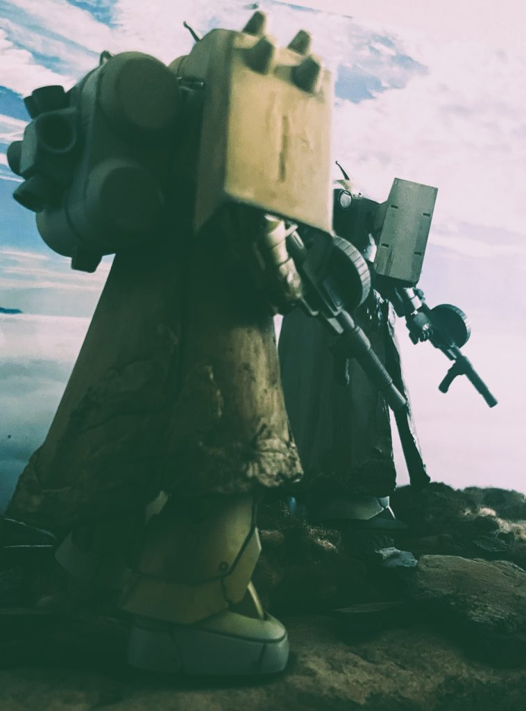 右からのアングルです。