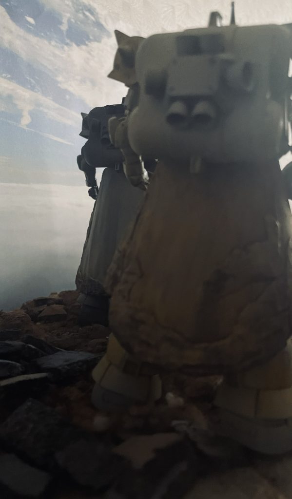 後方から。ギラドーガのバックパックをメルカリで購入の上背負わせています。