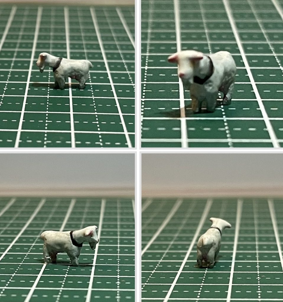 ヤギのブランカ完成,