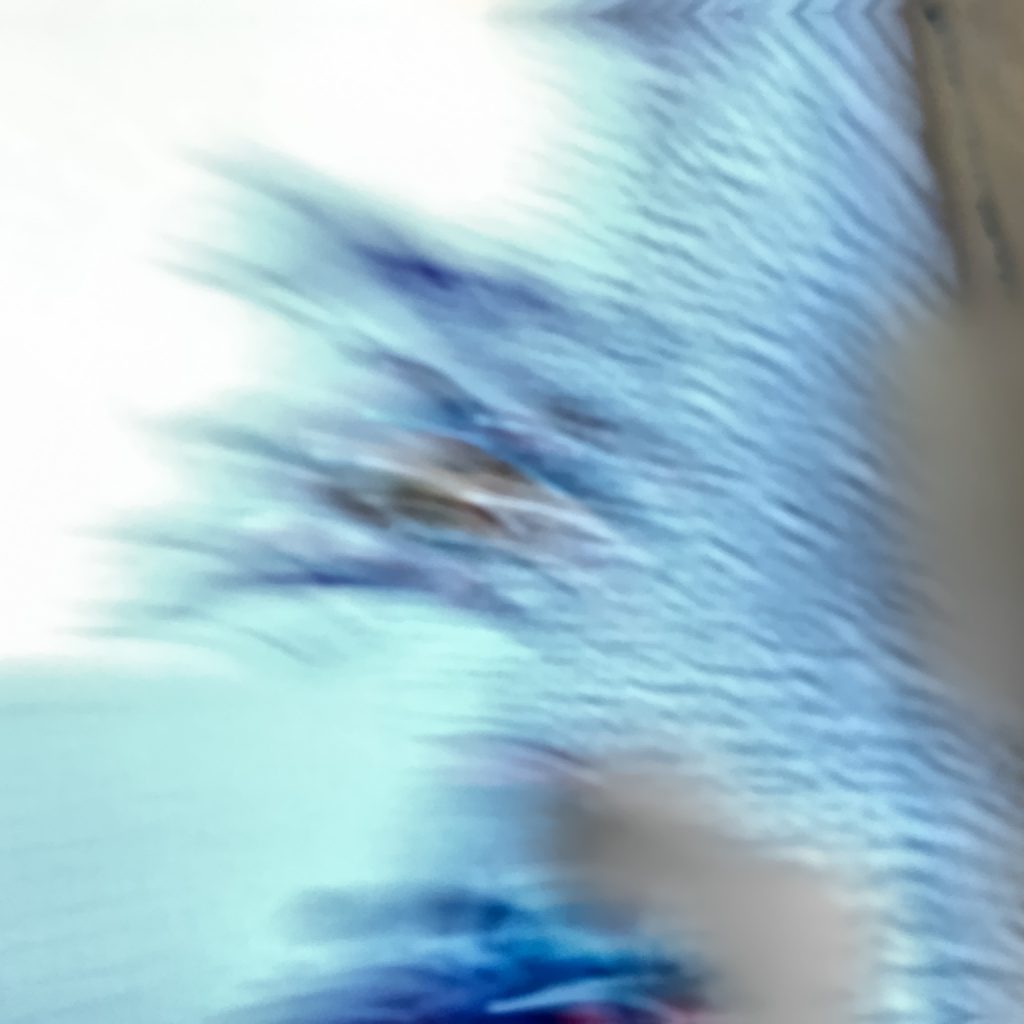 シーザーの視界がくらむ！！