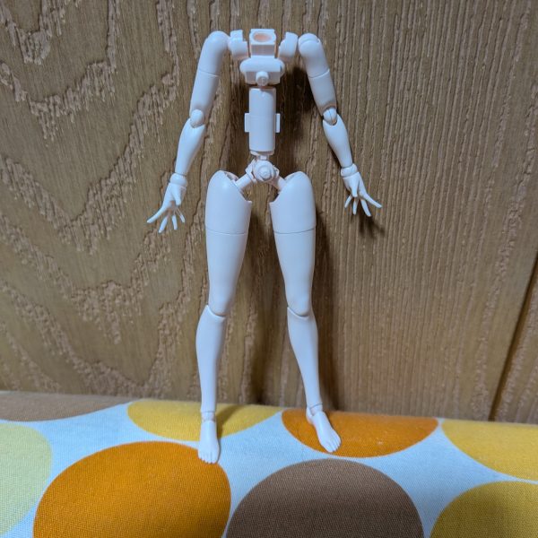 ガンダムEX終わったので次はザクIIソラリ機かグフカスタムか迷いましたがソラリ機のザクIIにしました。グフカスタムだと肩アーマーなど色々いじらないといけないので完成やや遅れそうなのでとりあえず全パーツ2度切りし後日また全パーツゲート跡処理していきます。一応、このザクIIもガンダムEX同様結構ウェザリングする予定です^_^ザクIIと並行して綾波レイスク水ver.の手足と胴体のゲート跡処理完了（3枚目）