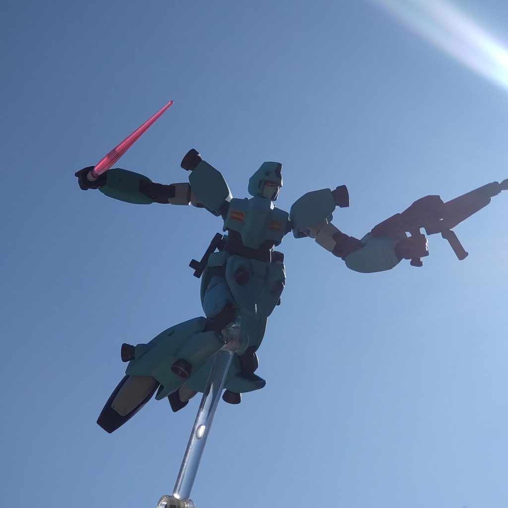 逆光を利用して撮影してみましたが如何でしょうか?