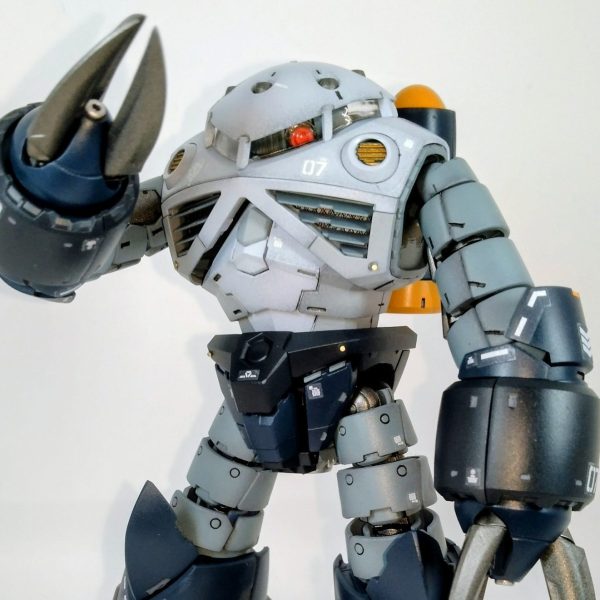 RG ズゴック 全塗装