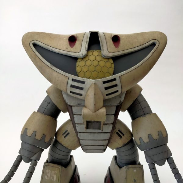 旧キット1/100  アッグガイ