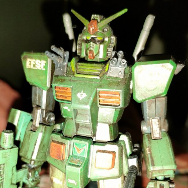 配布エコプラをフルアーマー風味にできるのか