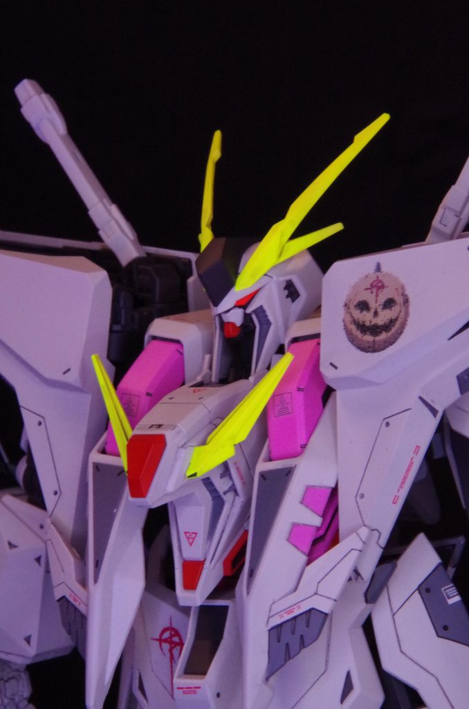 アンテナとカメラアイには蛍光塗料でビコーンシステム搭載。