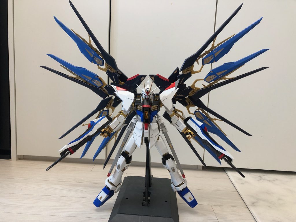 ストライクフリーダムニ式